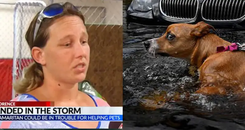 This Woman Was Arrested For Rescuing Pets From The Devastation Of Hurricane Florence