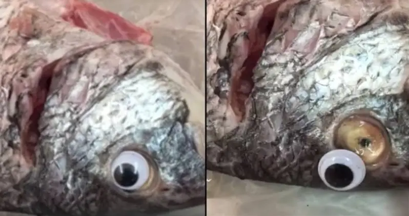 This Supermarket Put Googly Eyes On Their Fish To Make Them Look Fresher