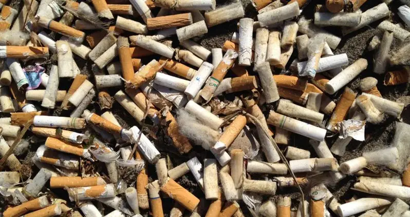 Cigarette Butts Are The Single Greatest Source Of Ocean Trash, Report Says