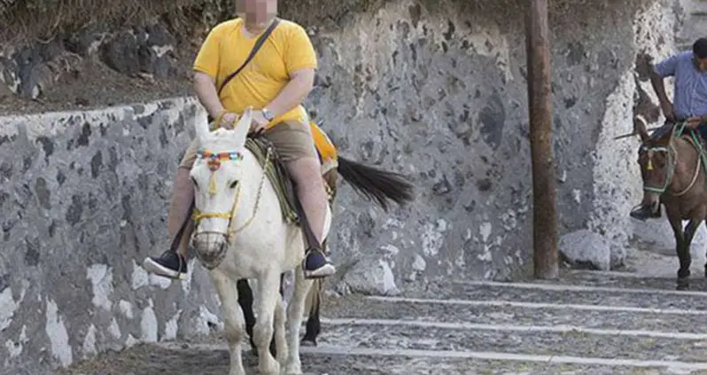 Greece Officially Bans Overweight Tourists From Riding Their Donkeys