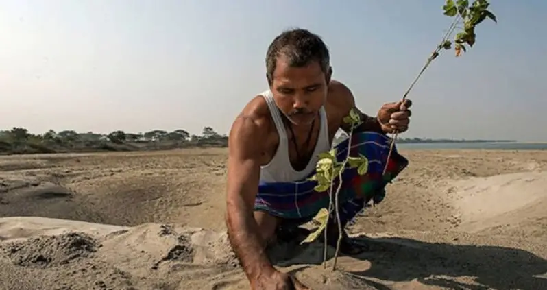 Meet Jadav Payeng: The “Forest Man Of India” Who Created An Entire Forest Himself Over 40 Years