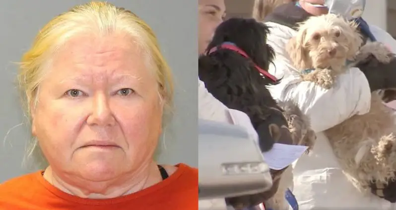 Cops Found 44 Dead Dogs In Her Freezer And 161 Live Dogs ‘Living In Their Own Waste’