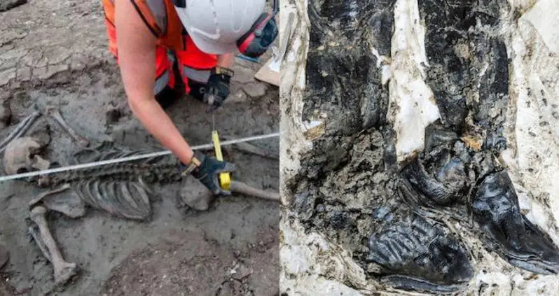 A 500-Year-Old Skeleton Wearing Thigh-High Leather Boots Was Unearthed In London