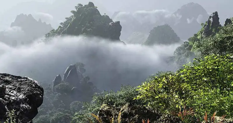 Demystifying The Wonder Behind Tropical Cloud Forests