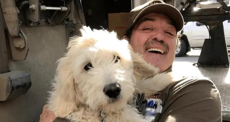 These Pictures Of UPS Dogs Are Guaranteed To Brighten Your Day