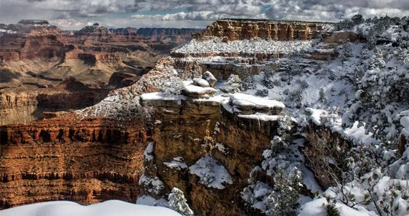 21 Pictures Of An Arizona Desert Snowstorm As A Winter Wonderland