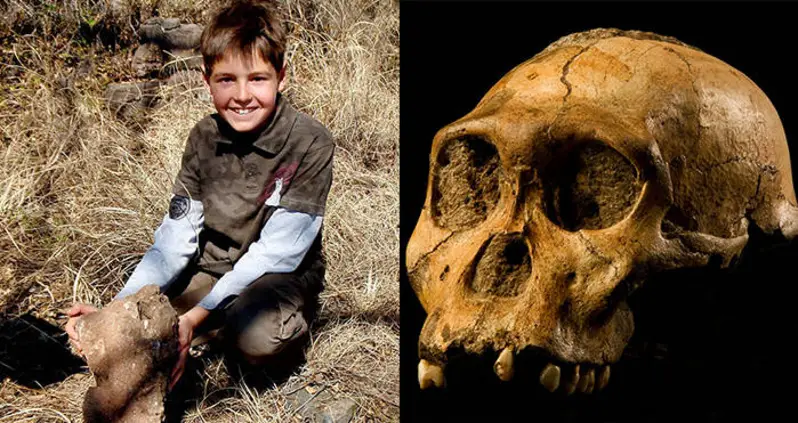 Nine-Year-Old Trips Over Rock That Turns Out To Be Fossil Of Human “Missing Link”