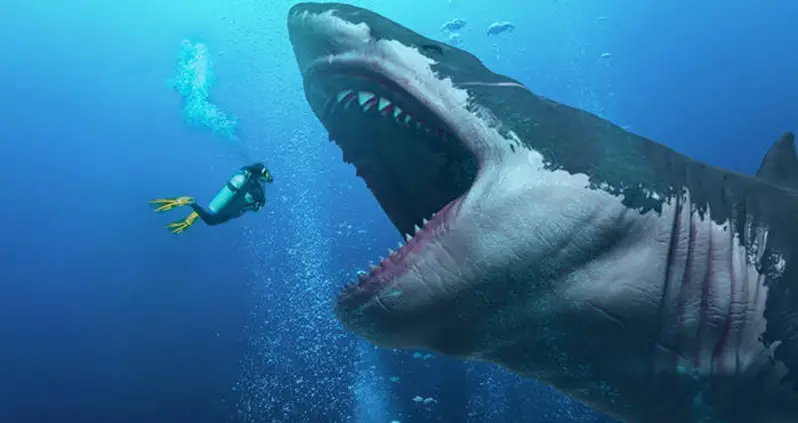 Megalodon: The Prehistoric Shark 10 Times The Size Of T-Rex