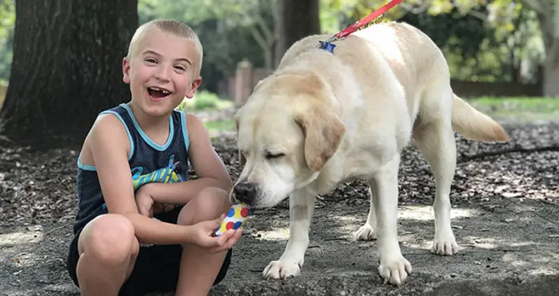 7-Year-Old Wins ASPCA Award For Rescuing More Than 1,300 Dogs From High-Kill Shelters