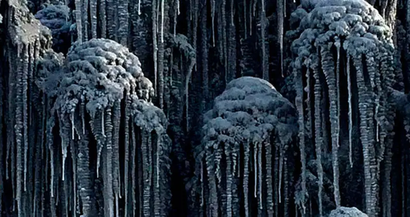 23 Disturbing Photos Of The Toxic Black Snowfall In Siberia