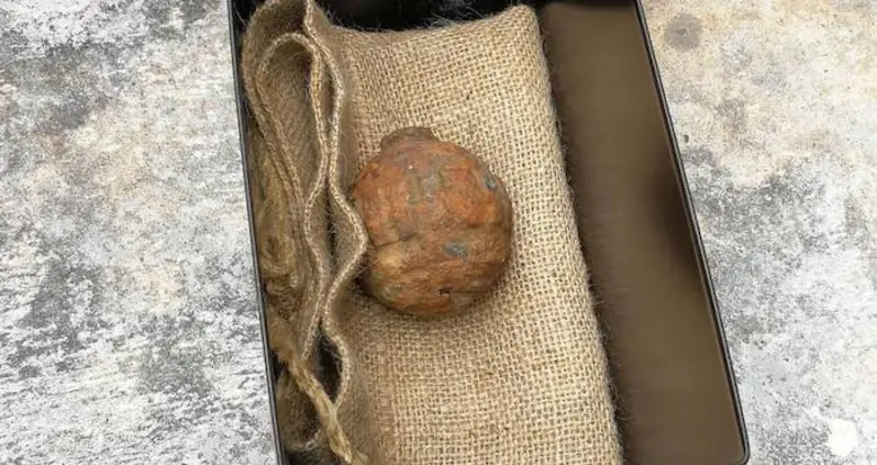 World War 1 Hand Grenade Mistaken For Potato Found In Chinese Chips Factory