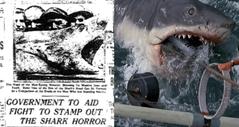The Gruesome 1916 Shark Attacks: 4 Deaths In 12 Days And An Enduring War On Sharks