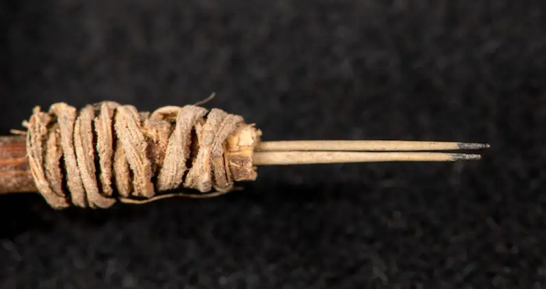2,000-Year-Old Tattoo Gun Identified In Utah Is The Oldest Tool In Western North America