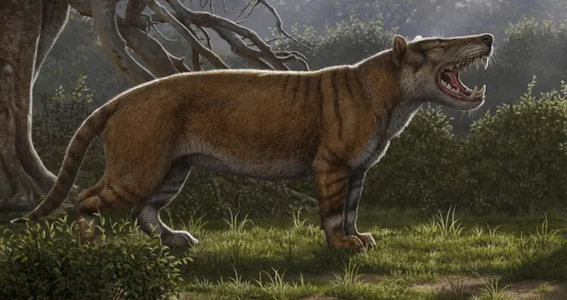 Scientists Uncover Prehistoric Predator Like A Lion On Steroids With Three Pairs Of Fangs