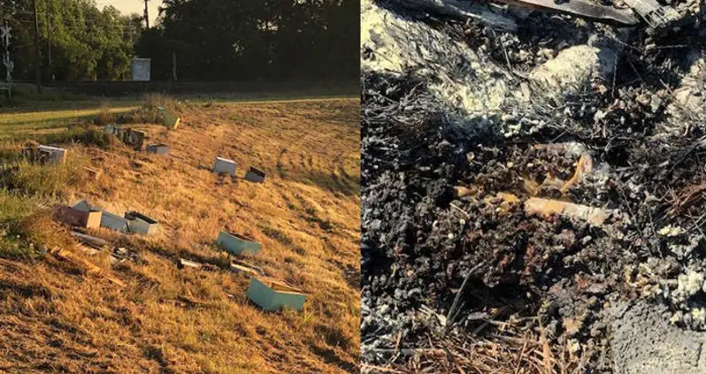 Somebody In Texas Killed 600,000 Bees After Setting Their Hives On Fire