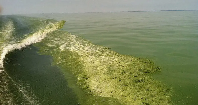 An Ohio City Granted Lake Erie The Same Legal Rights As People—A U.S. First