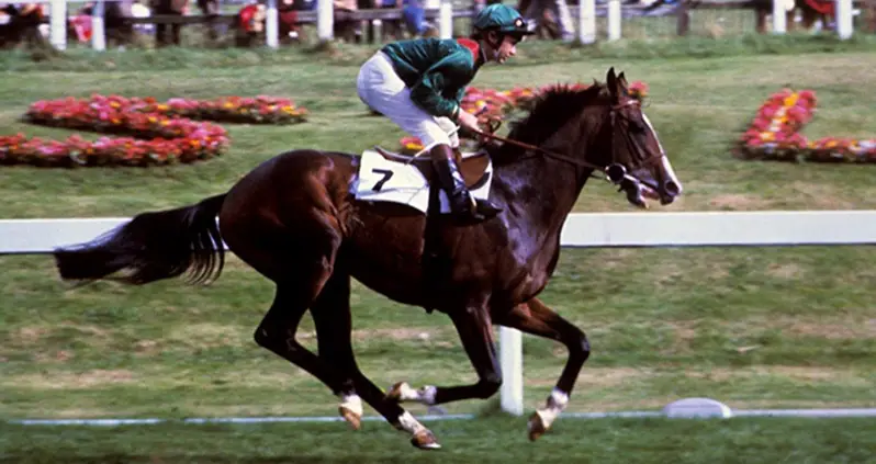 Inside The Strange And Shocking Kidnapping Of The ’80s Most Beloved Racehorse, Shergar