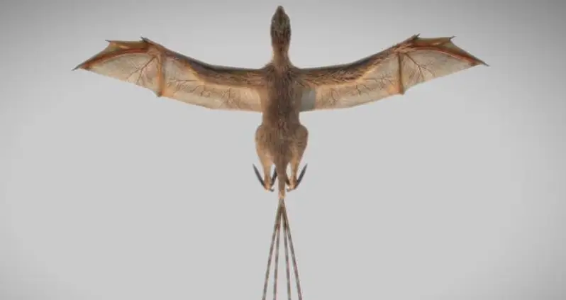 Bizarre 163 Million-Year-Old Dinosaur Found To Have Bat-Like Wings