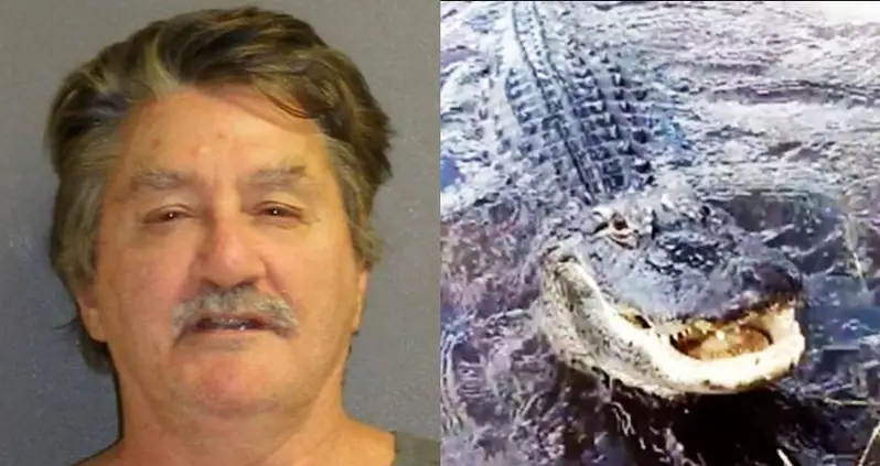 ‘He Loves Bagels’: Florida Man Arrested After Feeding Wild Alligator