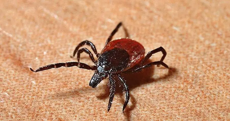 U.S. Congress Passes Bill To Investigate Whether The Pentagon Weaponized Ticks And Other Insects For Bio-Warfare