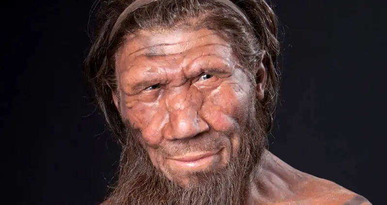 Neanderthals: The Misunderstood Hominin Species That Went Extinct 40,000 Years Ago