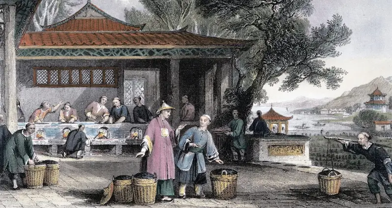 How A Poor Scottish Botanist Ruined China’s Economy By Stealing A Bunch Of Tea