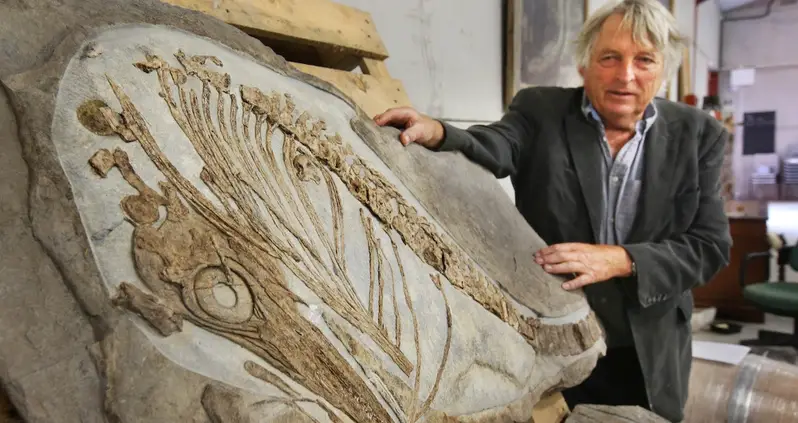 Englishman Unveils Ichthyosaurus Fossil His Ancestors Kept Buried In Their Yard