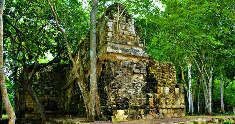 Ancient Mayan Palace Containing Human Remains Uncovered In Mexico’s Yucatán Jungle