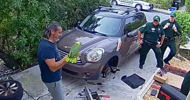 Florida Police Respond To Reports Of Woman Screaming For Help, Discover It Was A Parrot Instead