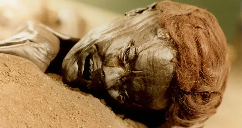 The Mystery Of The Grauballe Man, The Iron Age Body Preserved In A Peat Bog For 2,300 Years