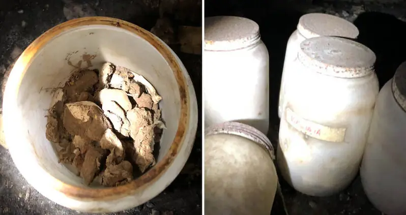 Gallon-Sized Jars Of Human Remains Including Infant And Tongues Discovered In Florida Crawlspace