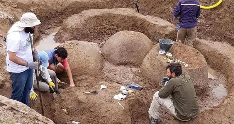 Argentinian Farmer Finds Family Of 20,000-Year-Old Car-Sized Armadillos Huddled In His Yard