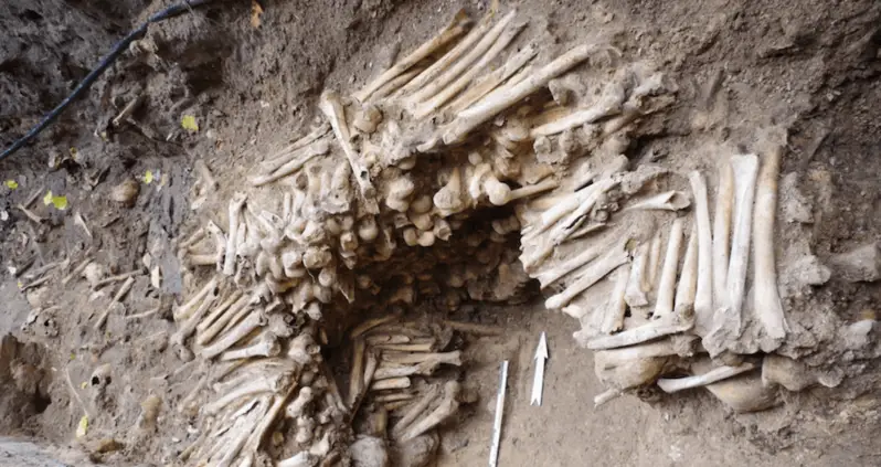 Wall Made Of Human Bones Discovered Underneath A Cathedral In Belgium