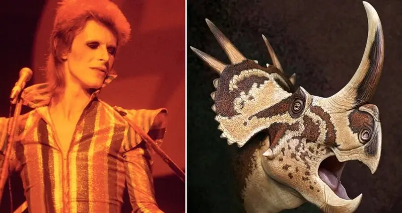 Newly-Discovered Dinosaur Named ‘Star Lizard’ In Honor Of David Bowie