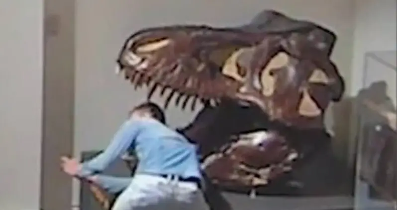 Man Caught On Camera Breaking Into Australian Museum To Take Selfies With Dinosaurs