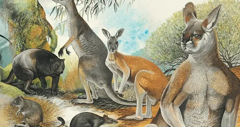 New Study Shows The Extinction Of Australia’s Megafauna Was Likely Caused By Climate Change