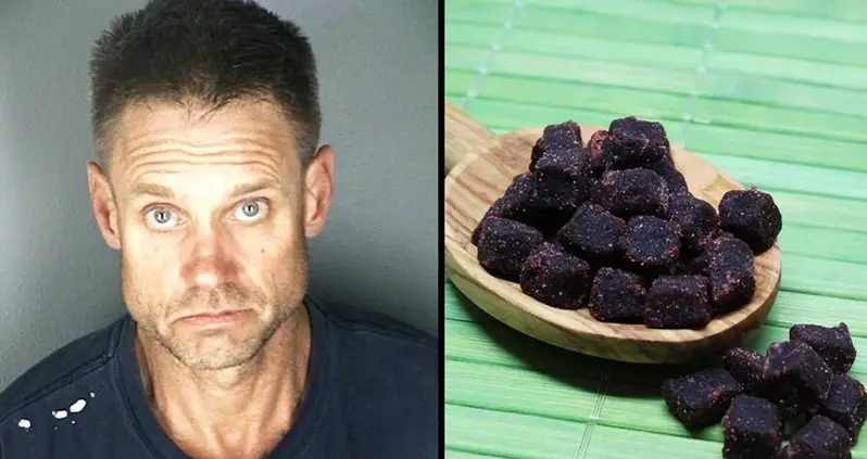 Colorado Man Arrested For Operating Drug Lab Where He Made ‘Healthy’ Açaí Berry Meth