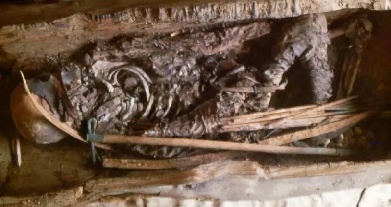 Remains Of Warrior Buried 2,600 Years Ago Identified As A 12-Year-Old Girl