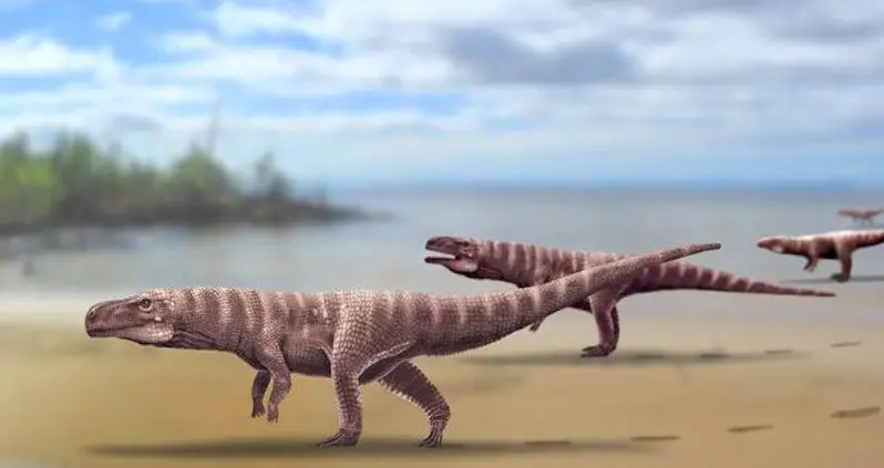 Scientists Just Discovered Prehistoric Crocodiles That Ran Upright On Two Legs And Hunted Down Dinosaurs