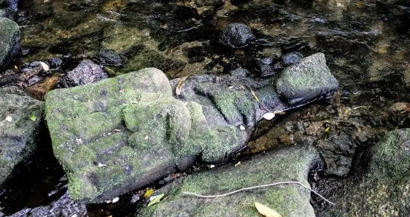 Spanish Fisherman Accidentally Discovers Medieval Virgin Mary Statue