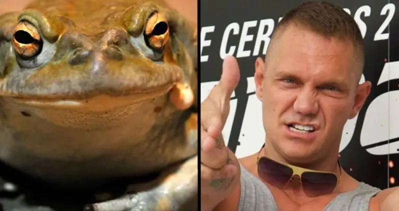 Porn Star Arrested For Manslaughter After A Man Died At His Psychedelic Toad Ritual