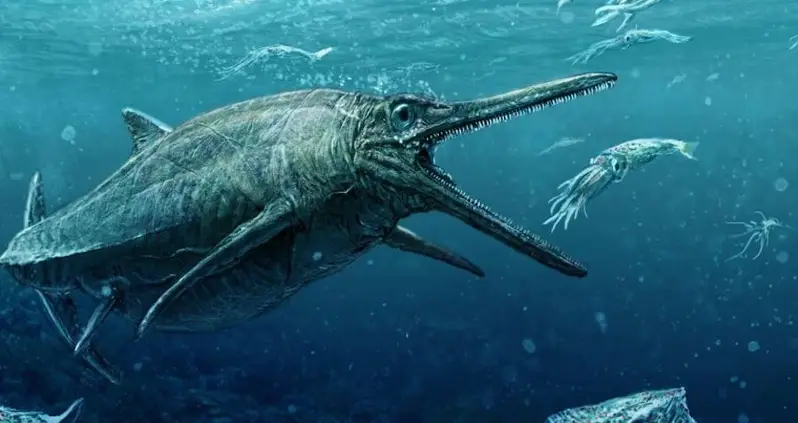 12-Foot Reptile Found In The Stomach Of A 240-Million-Year-Old ‘Megapredator’ Unearthed In China