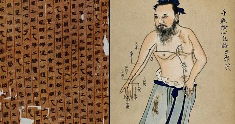 This 2,200-Year-Old Chinese Medical Text May Be The Oldest Known Chart Of Human Anatomy