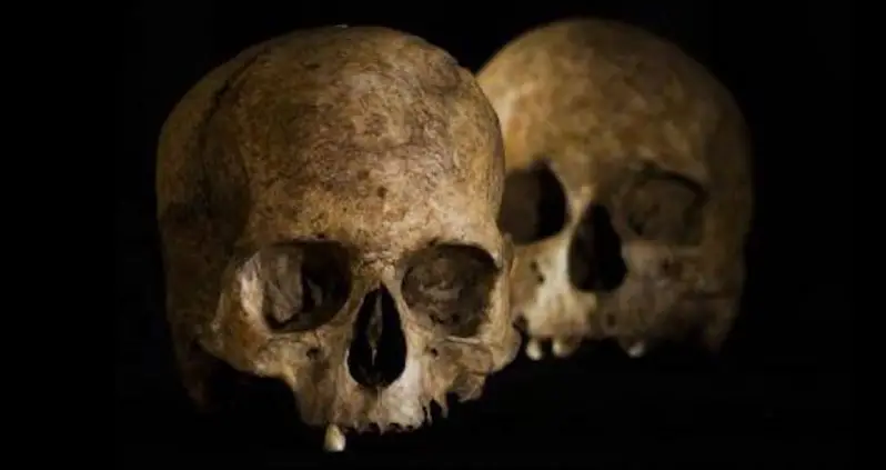 Bizarre Neolithic Burial Site Including Human Skulls And A Goat Skeleton Uncovered In Spain