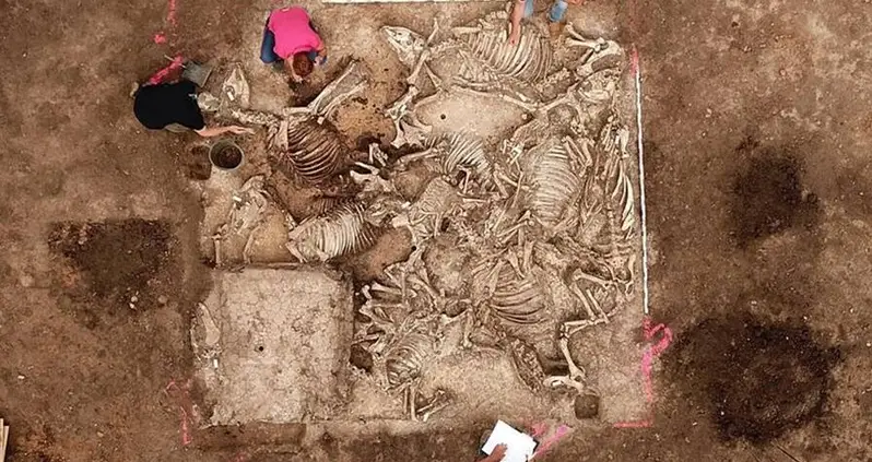 Archaeologists Just Uncovered An Ancient Germanic Tomb With Six Women Buried Around A Cauldron