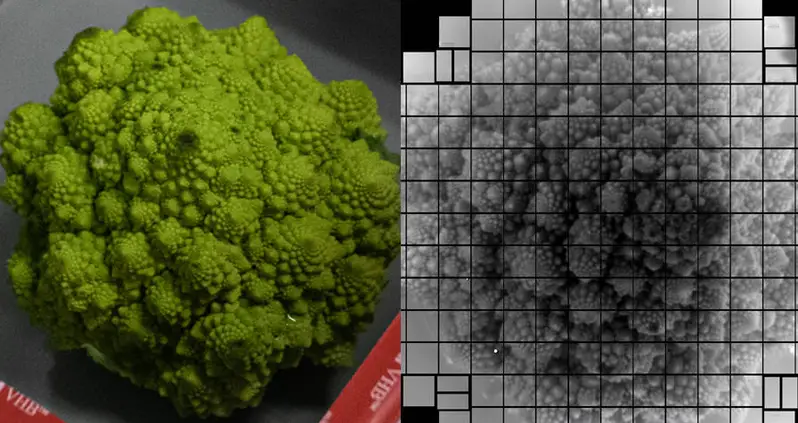 Telescope In Chile Snaps Largest Single Photograph In Human History — And It’s Of Broccoli