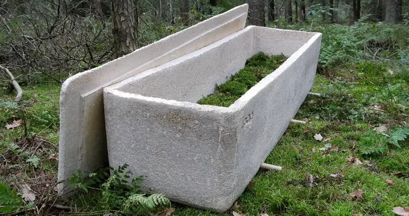 Dutch Inventor Creates ‘Living Coffin’ That Uses Mushrooms To Compost Dead Bodies