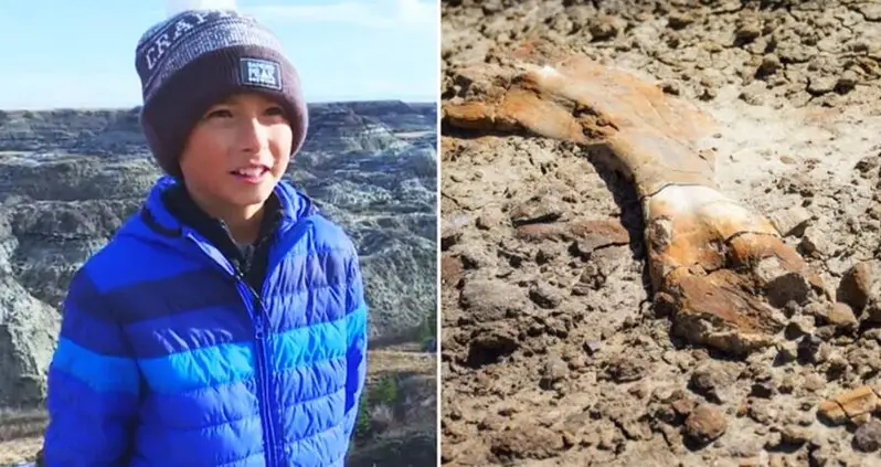 12-Year-Old Canadian Boy Finds 69-Million-Year-Old Dinosaur Fossil While Hiking