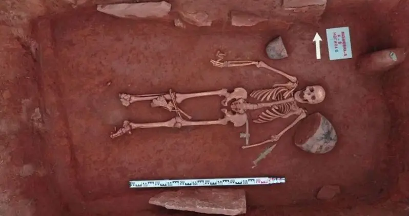 Remains Of Warrior Couple, Older Woman, And Newborn Found In 2,500-Year-Old Siberian Grave