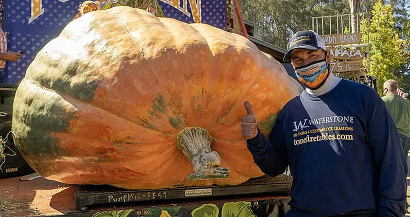 Minnesota Man Wins ‘Super Bowl Of Pumpkins’ With 2,350-Pound Gourd Named ‘Tiger King’